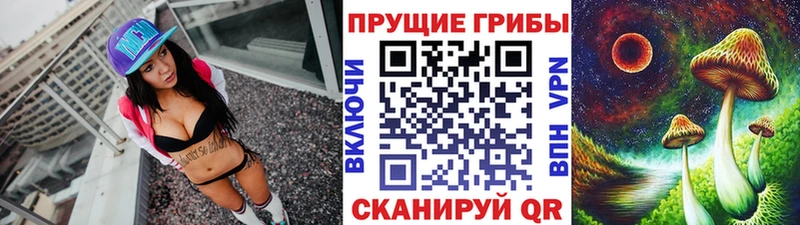 продажа наркотиков Бабушкин Псилоцибиновые грибы Psilocybine cubensis